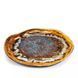 Тарелка мелкая Tognana Reef Oyster 28 см RY000285961 RY000285961 фото 1